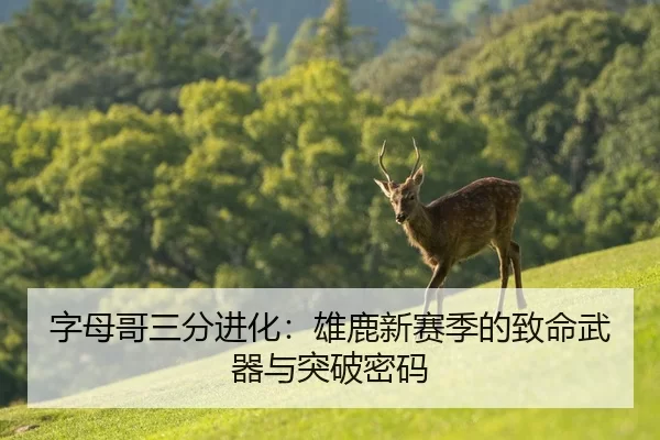 字母哥三分进化：雄鹿新赛季的致命武器与突破密码
