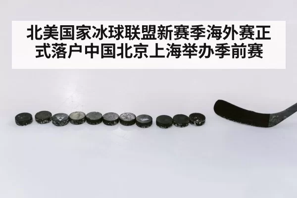 ice hockey stick and puck